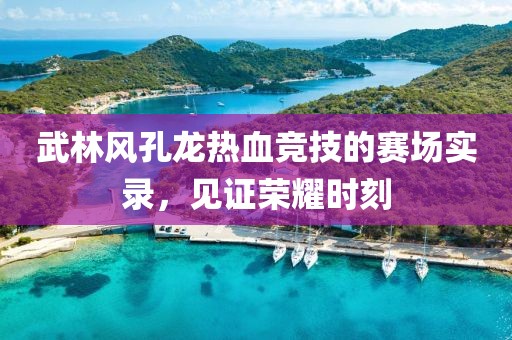 武林风孔龙热血竞技的赛场实录，见证荣耀时刻