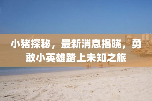 关于我们 第686页