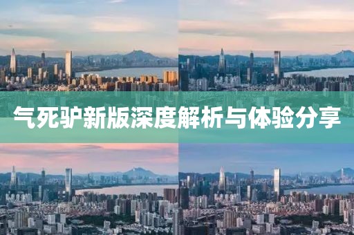 气死驴新版深度解析与体验分享