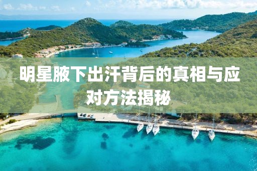 明星腋下出汗背后的真相与应对方法揭秘
