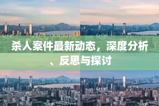 杀人案件最新动态，深度分析、反思与探讨