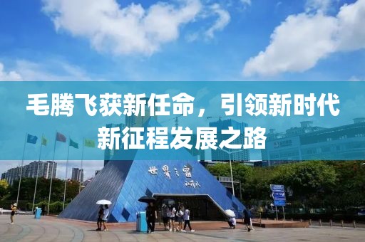 毛腾飞获新任命，引领新时代新征程发展之路