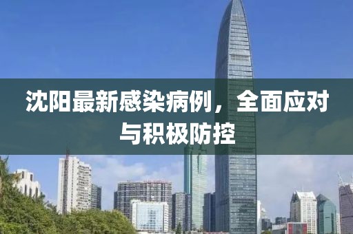 沈阳最新感染病例，全面应对与积极防控