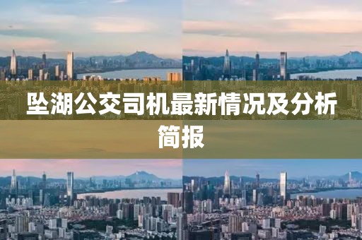坠湖公交司机最新情况及分析简报