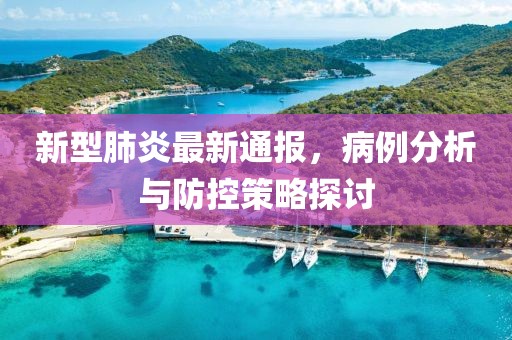 新型肺炎最新通报，病例分析与防控策略探讨