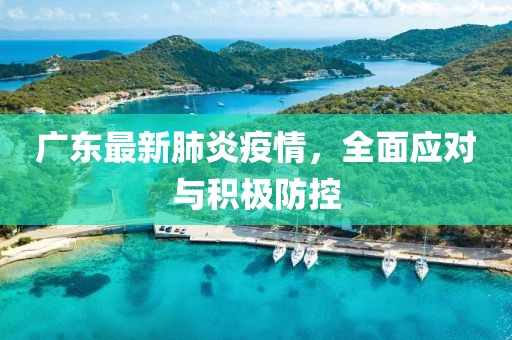 广东最新肺炎疫情，全面应对与积极防控