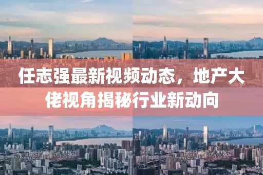 任志强最新视频动态，地产大佬视角揭秘行业新动向