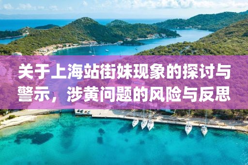 关于上海站街妹现象的探讨与警示，涉黄问题的风险与反思