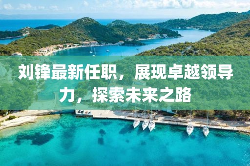 刘锋最新任职，展现卓越领导力，探索未来之路