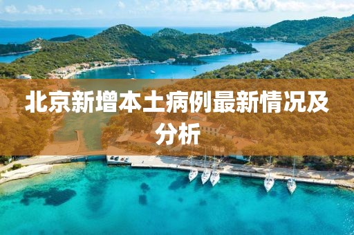 北京新增本土病例最新情况及分析