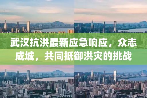 武汉抗洪最新应急响应，众志成城，共同抵御洪灾的挑战