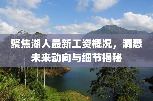 聚焦湖人最新工资概况，洞悉未来动向与细节揭秘