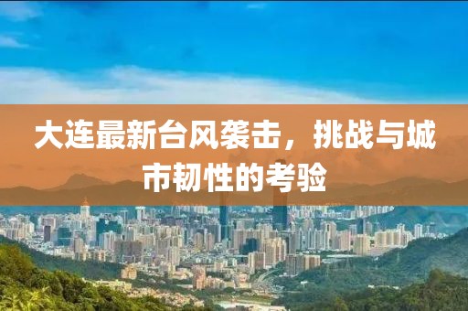 大连最新台风袭击，挑战与城市韧性的考验
