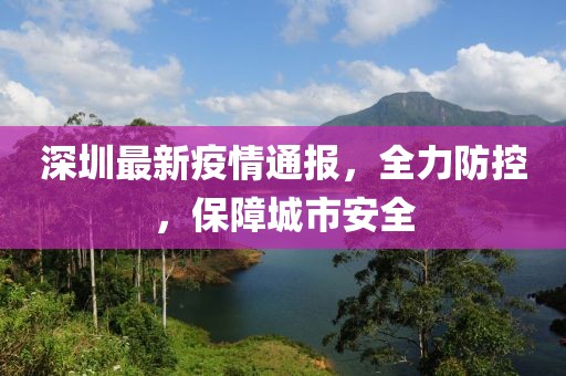 深圳最新疫情通报，全力防控，保障城市安全