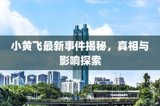 小黄飞最新事件揭秘，真相与影响探索