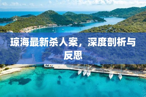 琼海最新杀人案，深度剖析与反思