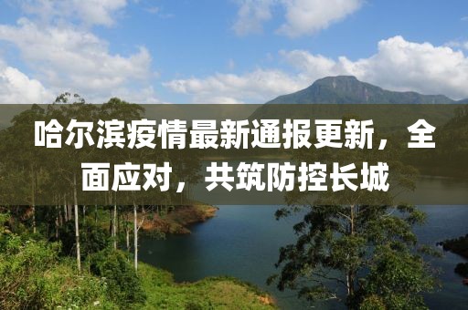 哈尔滨疫情最新通报更新，全面应对，共筑防控长城