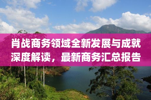 肖战商务领域全新发展与成就深度解读，最新商务汇总报告