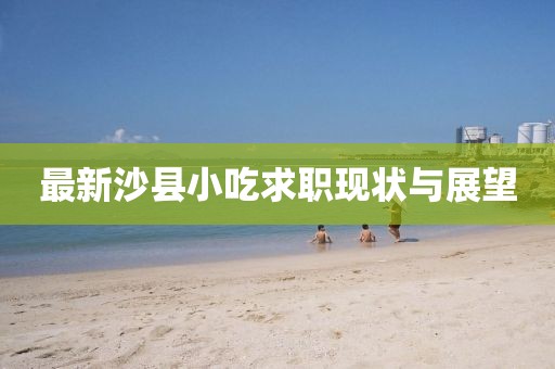 最新沙县小吃求职现状与展望
