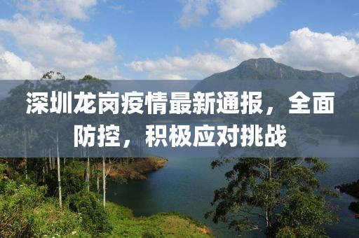 深圳龙岗疫情最新通报，全面防控，积极应对挑战