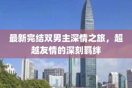 最新完结双男主深情之旅，超越友情的深刻羁绊