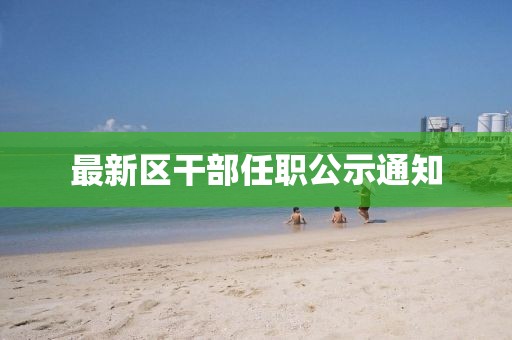 最新区干部任职公示通知