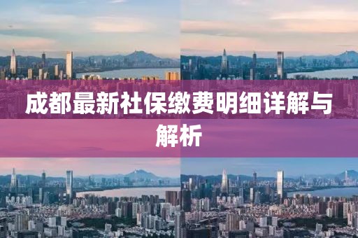 成都最新社保缴费明细详解与解析