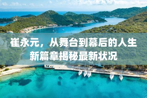 崔永元，从舞台到幕后的人生新篇章揭秘最新状况