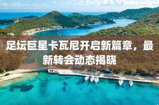 足坛巨星卡瓦尼开启新篇章，最新转会动态揭晓