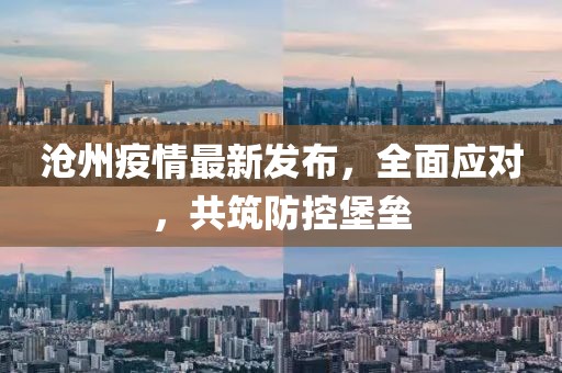沧州疫情最新发布，全面应对，共筑防控堡垒