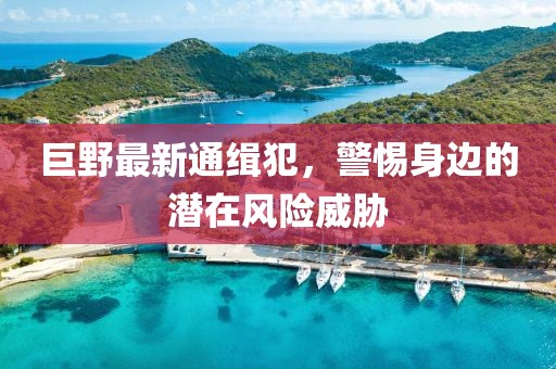 巨野最新通缉犯，警惕身边的潜在风险威胁