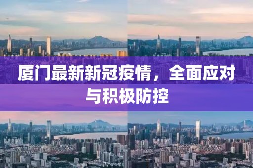 厦门最新新冠疫情，全面应对与积极防控