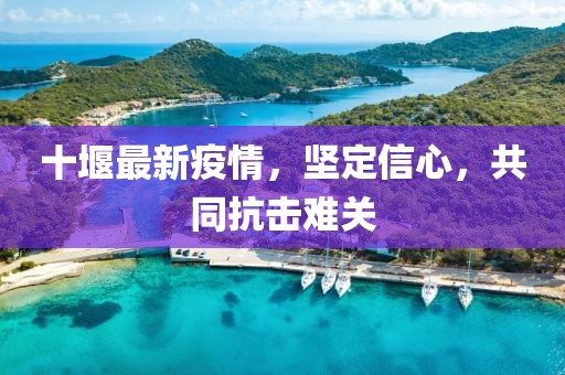 十堰最新疫情，坚定信心，共同抗击难关