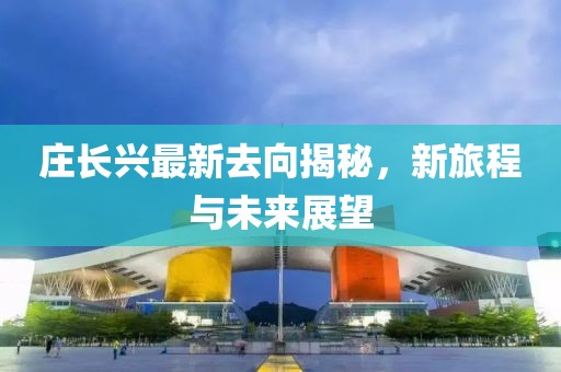 庄长兴最新去向揭秘，新旅程与未来展望