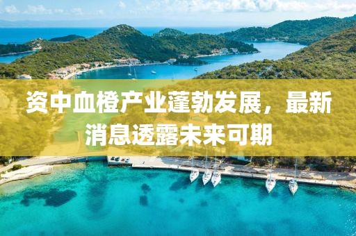 资中血橙产业蓬勃发展，最新消息透露未来可期