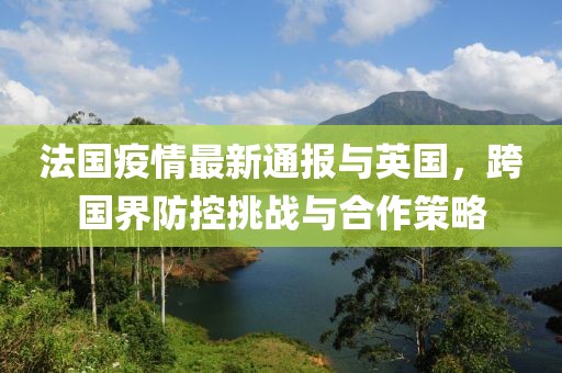 法国疫情最新通报与英国，跨国界防控挑战与合作策略