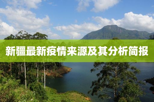 新疆最新疫情来源及其分析简报