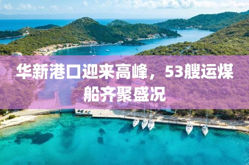 华新港口迎来高峰，53艘运煤船齐聚盛况