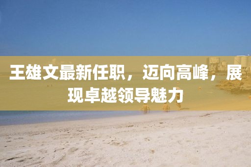 王雄文最新任职，迈向高峰，展现卓越领导魅力