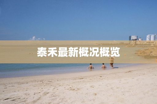 泰禾最新概况概览
