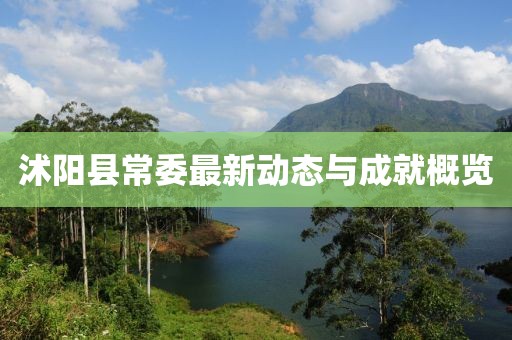 沭阳县常委最新动态与成就概览