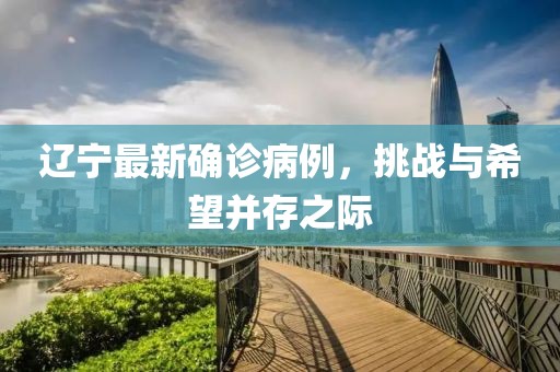 辽宁最新确诊病例，挑战与希望并存之际