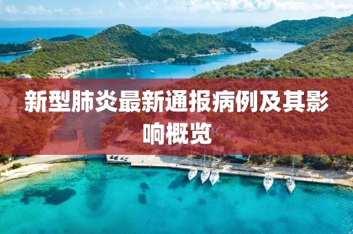 新型肺炎最新通报病例及其影响概览