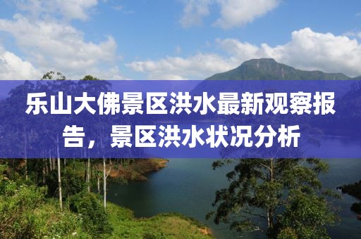 乐山大佛景区洪水最新观察报告，景区洪水状况分析