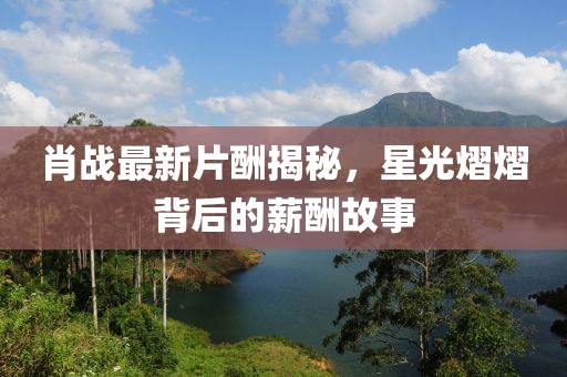 肖战最新片酬揭秘，星光熠熠背后的薪酬故事
