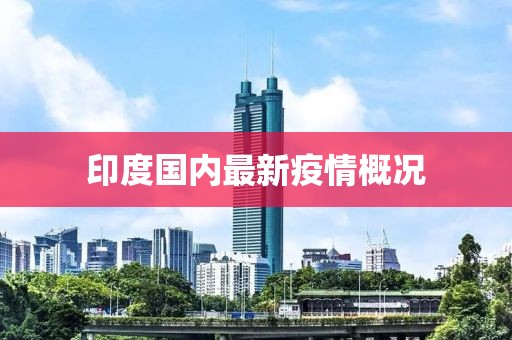 印度国内最新疫情概况