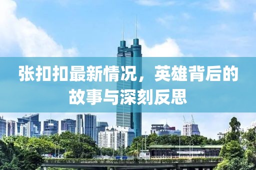 张扣扣最新情况，英雄背后的故事与深刻反思