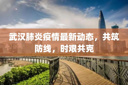 武汉肺炎疫情最新动态，共筑防线，时艰共克