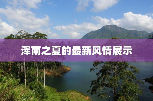 浑南之夏的最新风情展示