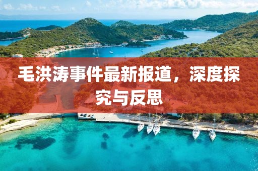 毛洪涛事件最新报道，深度探究与反思